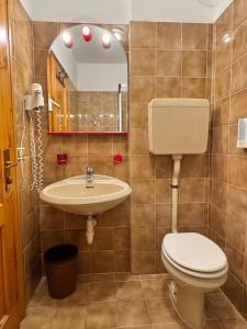 a bathroom with a toilet and a sink and a mirror at Hotel Aquila in Livigno +43 photos