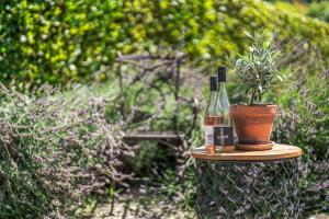 a bottle of wine and a potted plant on a table at Weingut Landerer in Vogtsburg