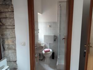 a small bathroom with a toilet and a shower at Rooms Svalina in Grožnjan