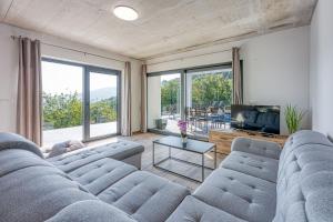 a living room with a couch and a tv and windows at Villa Nono in Motovun