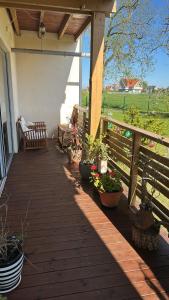 a porch with potted plants and a bench on it at Butas Karklėje in Karklė +12 photos