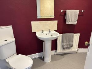 a bathroom with a white sink and a toilet at The Flat The Plough in Birdbrook