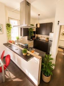 a kitchen with black cabinets and a counter with plants at Vista dall' Eden in Mortola Superiore