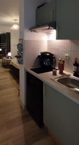 a kitchen with a sink and a counter top at le Cosy - Studio Apparthotel in Saint-Denis