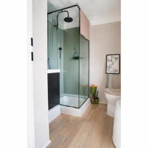a bathroom with a glass shower with a toilet at le Cosy - Studio Apparthotel in Saint-Denis