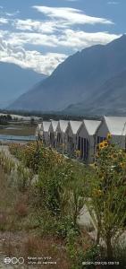 a row of beach huts with a mountain in the background at Kayok camp hunder in Nubra