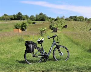 a bike parked in the grass in a field at Appartement ROSalia in Forchtenstein
