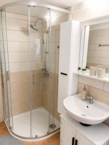 a bathroom with a shower and a sink at Seč Aktivně in Seč +18 photos