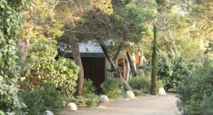 a garden with a house in the background with trees at Résidence Mobydick in Porto-Vecchio