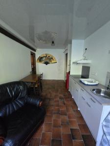 a living room with a couch and a kitchen at la roussette in Prats-de-Mollo-la-Preste
