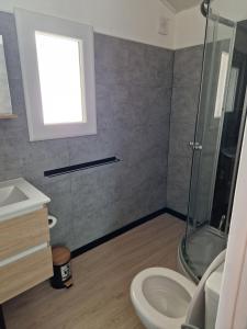 a bathroom with a shower and a sink and a toilet at la roussette in Prats-de-Mollo-la-Preste