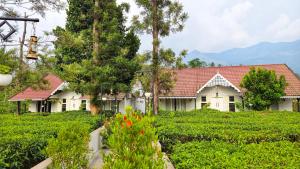 a house in the middle of a tea plantation at Estate IV - Saffron Suite - Tea Estate Stay in Vythiri