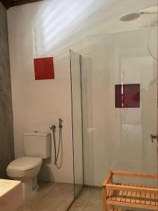 a bathroom with a toilet and a glass shower stall at App Lory KiteVillage in Uruau