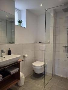 a bathroom with a toilet and a glass shower at Linden's Apartments in Ayl