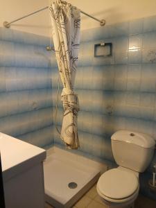 a bathroom with a toilet and a shower curtain at Studio centre de calvi in Calvi