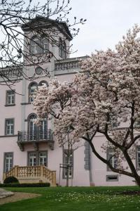 un edificio con un árbol florido delante de él en Rittergut Rottewitz en Meißen