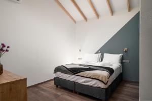 a bedroom with a bed with a blue accent wall at MustBe CFU Studios in Danilia