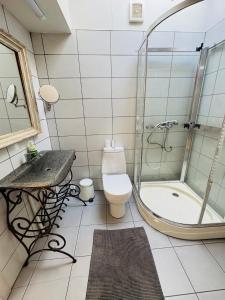 a bathroom with a shower and a toilet and a sink at The lake house in Mockava