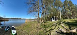 a group of boats on the shore of a lake at The lake house in Mockava +5 photos