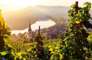 a view of a town with a church and a lake at Eifel with Family in Thür
