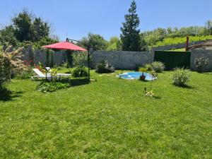 a yard with a red umbrella and a pool at Haus Kazimir in Kazimir