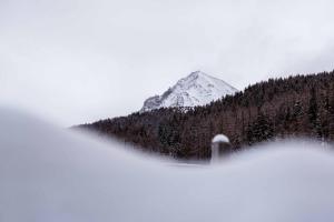 a snow covered mountain in the middle of a forest at Ca' De Sass in Pila