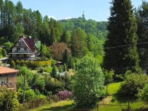a house in the middle of a garden at Willa Jolka - parking bezplatny, plac zabaw, wiata grillowa in Krynica Zdrój