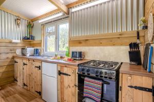 a kitchen with wooden cabinets and a stove at 1 Bed in Llandovery oc-88603 in Cynghordy