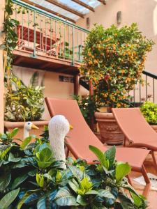 two ducks sitting on plants in a garden at Colosseo Garden Lodge in Rome