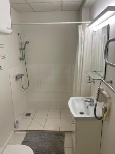 a white bathroom with a shower and a sink at Jazz Time Studio in Birštonas