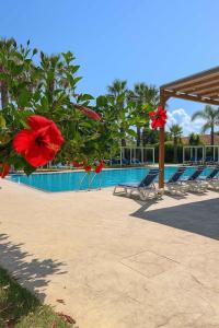 a swimming pool with chairs and red flowers in the foreground at Selene Resort - Amami Collection in Paestum