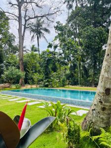 a swimming pool in the middle of a garden at Wimala Sewana in Veyangoda +1 photo