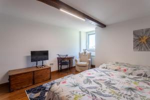 a bedroom with a bed and a flat screen tv at Domaine Cherps Spa - Quietude in Vielleségure