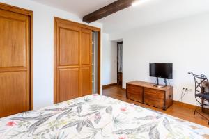 a bedroom with a bed and a tv on a dresser at Domaine Cherps Spa - Quietude in Vielleségure