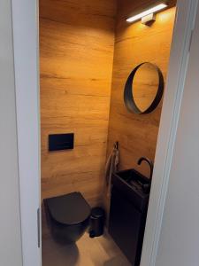 a bathroom with a toilet and a mirror at LOFT 21 Rhön in Hofbieber +25 photos