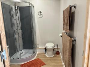 a bathroom with a shower and a toilet at Studio cosy avec accès jardin in Lunel-Viel