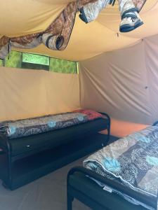 a room with two beds in a tent at Camping De Meidoorn in Sluis