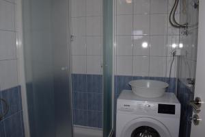 a bathroom with a washing machine in a room at Apartment Mali Mol in Vantačići +8 photos