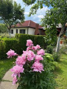 a bunch of pink flowers in front of a house at Vega House Luxury & Relax in Orşova