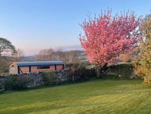 a train is parked in a field next to a tree at The Carriage in Matlock