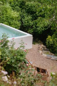 a swimming pool in the middle of a garden at Serra Casa in Marvão +40 photos
