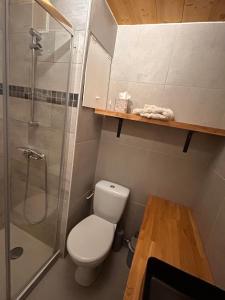 a bathroom with a toilet and a glass shower at Studio rez de jardin Praloup in Uvernet