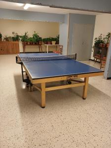 a ping pong table in an empty room with at Studio rez de jardin Praloup in Uvernet +2 photos