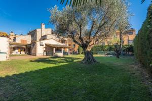 a tree in the yard of a house at Cal Ferrer Nou Costa Brava in Riumors