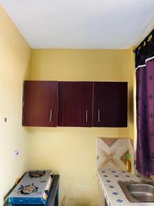 a kitchen with a stove and a sink at Fewa studio in Busia