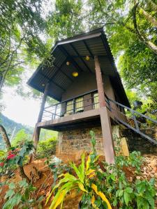 a building on top of a hill with trees at Knuckles Breeze Villas Kandy in Kandy