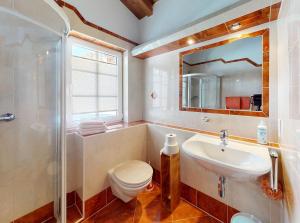 a bathroom with a sink and a toilet and a mirror at Gipfelblick Appartements in Umhausen +12 photos