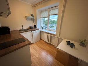 a small kitchen with a sink and a window at Welcome Valmiera in Valmiera
