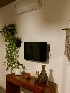 a flat screen tv hanging on a wall with plants at Chalé Lampião BG in Barra Grande