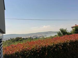 a field of red flowers on a hill with a city at Počitniška hiška SEA HIDEAWAY in Ankaran